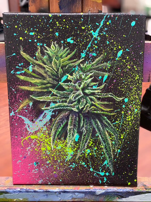 Bahama Blizzard - Original Painting